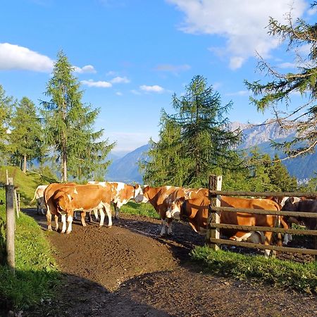 Апартаменты Unterniggleralm Thurn Экстерьер фото