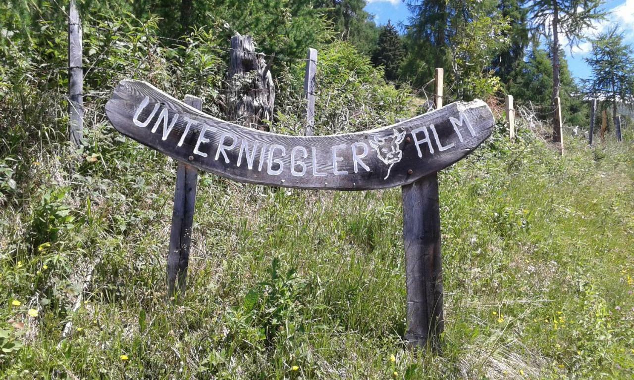 Апартаменты Unterniggleralm Thurn Экстерьер фото
